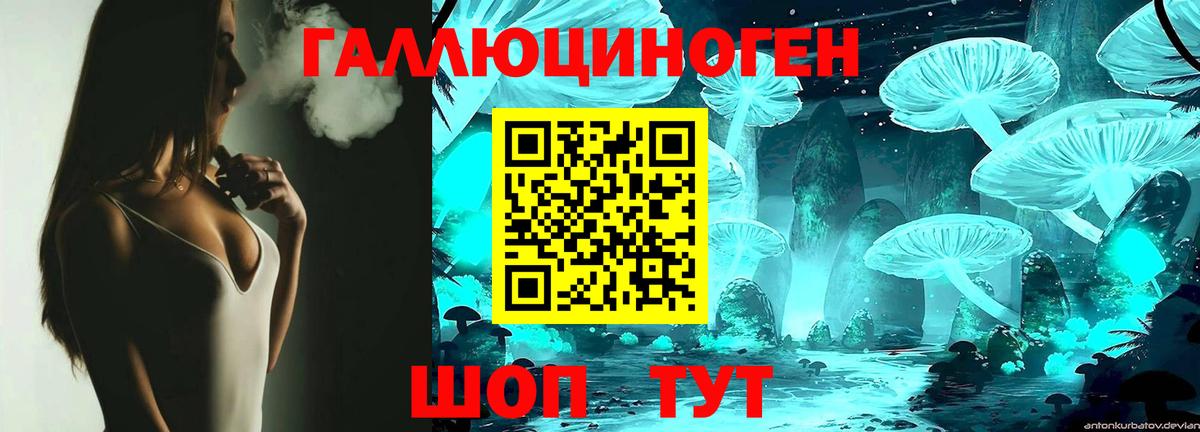 Галлюциногенные грибы GOLDEN TEACHER Буйнакск