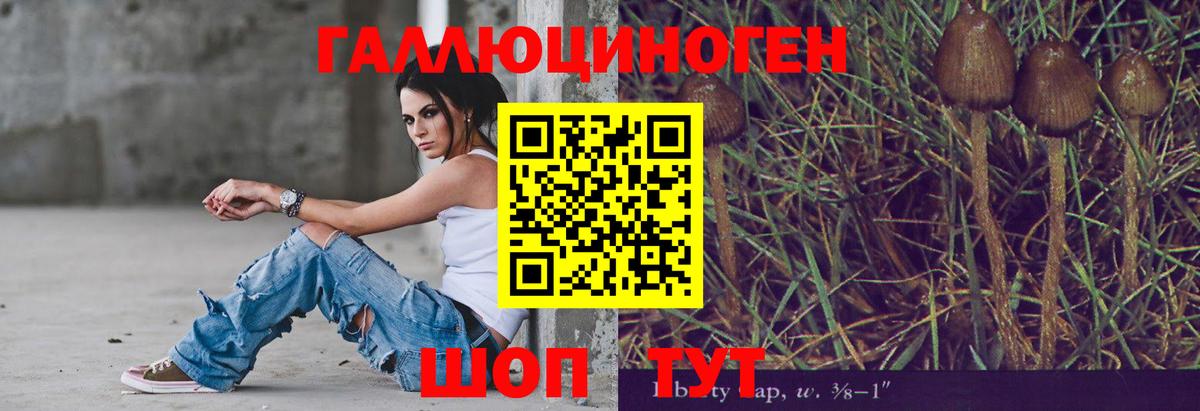 закладка  Вход с VPN  Псилоцибиновые грибы мицелий  Буйнакск  Псилоцибиновые грибы мицелий 